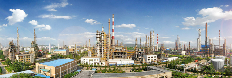 1650077267181441.jpg 2-1P10416335JD.jpg