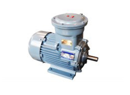 粉尘防爆型三相异步电机,温升裕度大