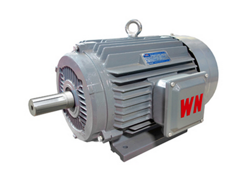 烟台皖南电机NS系列超高效不锈钢三相异步电动机